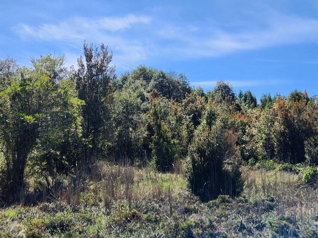 Terreno en venta en Quemchi, Los Lagos