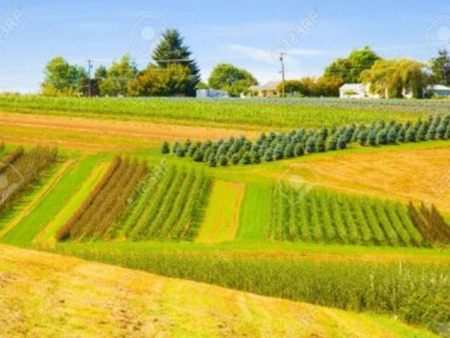 Terreno en venta en Gorbeialdea, Guipúzcoa
