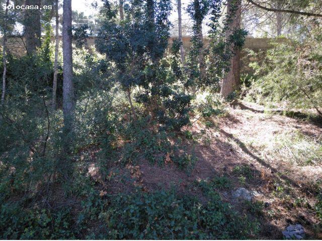 Local Comercial en venta en La Serranía, Valencia