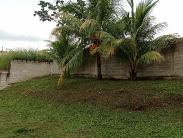 Terreno en venta en Manongo, Valencia
