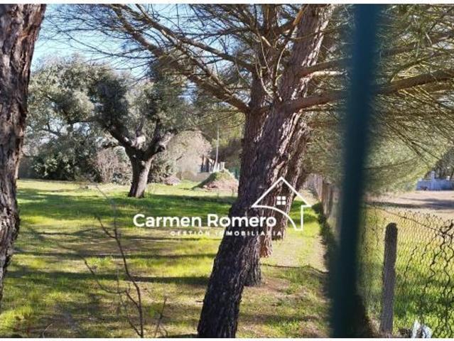 Local Comercial en venta en Florida De Liébana, Castilla y León