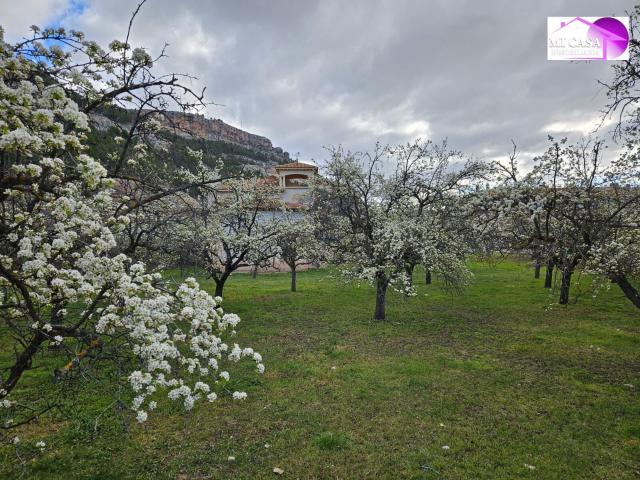 Terreno en venta en Comunidad de Calatayud, Aragón