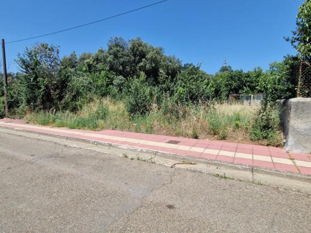 Terreno en venta en Cubillos Del Sil, Cabañas de la Dornilla