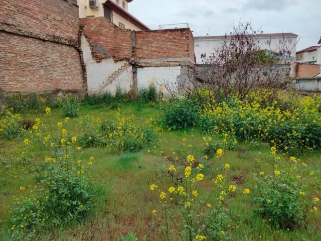Terreno en venta en Maracena