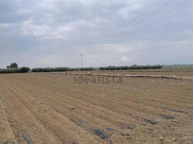Terreno en venta en Virgen de las Huertas, Alto Guadalentín
