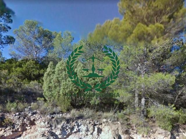 Terreno en venta en Albalate De Zorita