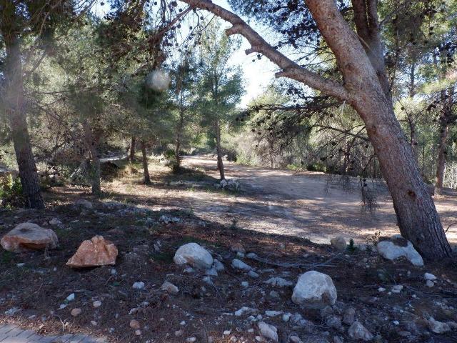 Terreno en venta en la Marina Alta, Valencia
