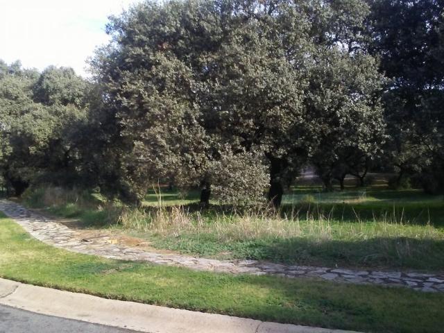 Terreno en venta en Bollullos De La Mitación, Urbanización La Juliana