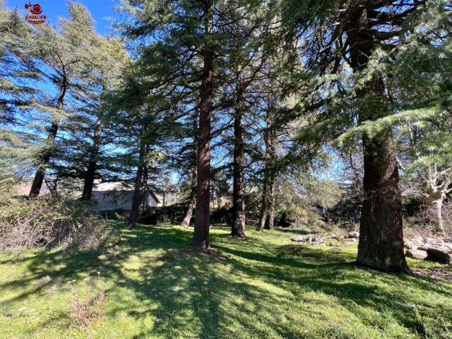 Terreno en venta en Cercedilla