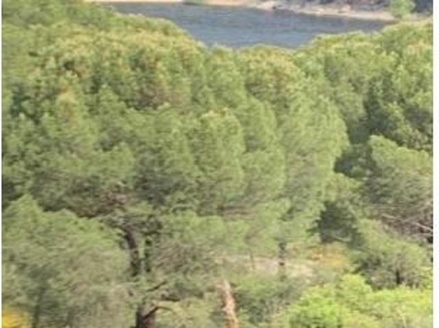 Local Comercial en venta en San Ramón, San Martín De Valdeiglesias