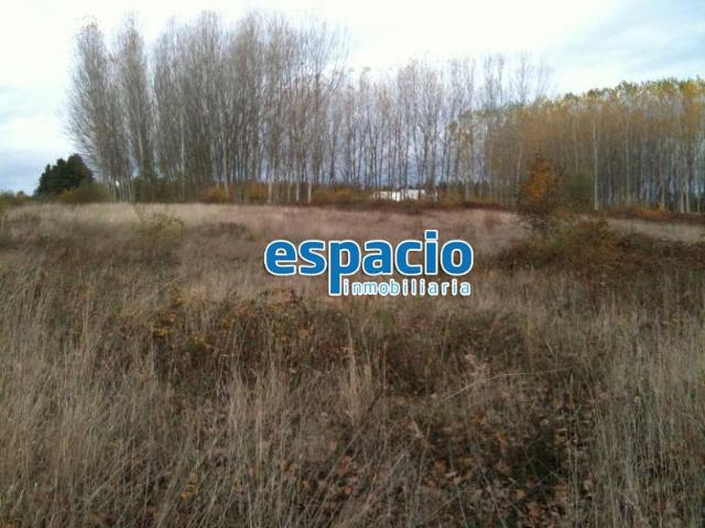 Terreno en venta en Cubillos Del Sil, Matarrosa del Sil