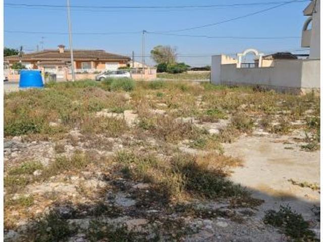 Terreno en venta en el Baix Segura / La Vega Baja, Valencia