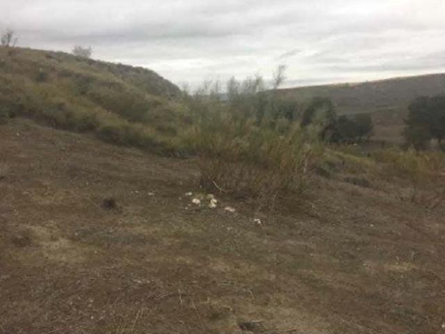 Terreno en venta en Illana, Urbanización Río Llano