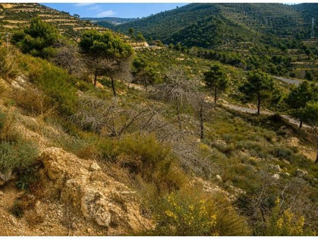 Local Comercial en venta en Urbanització Les Cometes, la Marina Alta