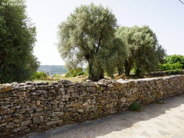 Local Comercial en venta en Aínsa-sobrarbe, Aragón
