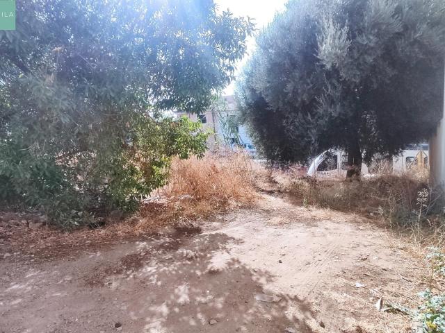 Terreno en venta en Lloseta