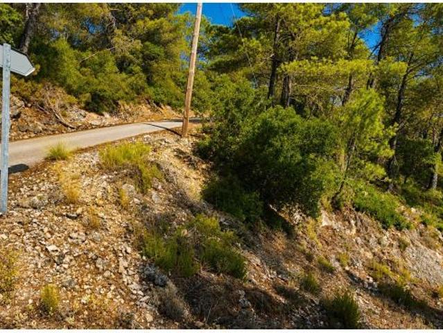Local Comercial en venta en Albalate De Zorita, Castilla-La Mancha