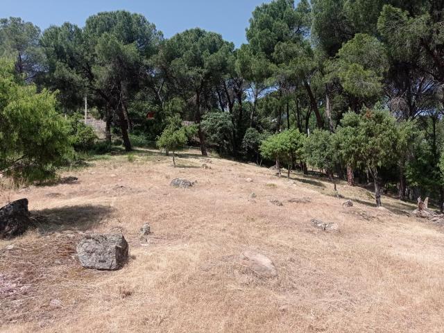 Terreno en venta en San Martín De Valdeiglesias, Costa de Madrid