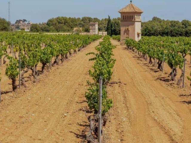 Terreno en venta en Sant Jaume Dels Domenys