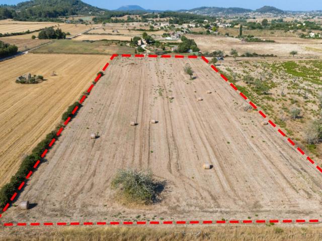 Terreno en venta en Sineu, ses Cases Noves