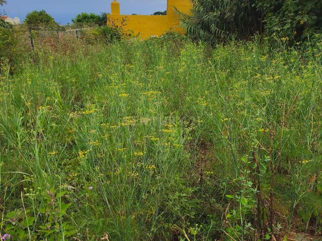 Terreno en venta en El Cantillo, Tacoronte