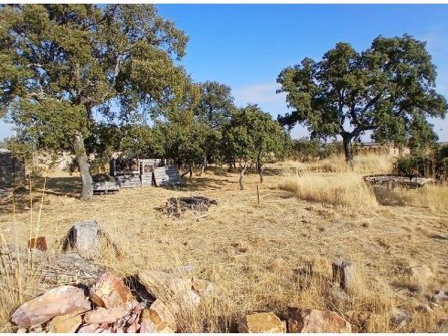 Local Comercial en venta en Buenavista, Castilla y León