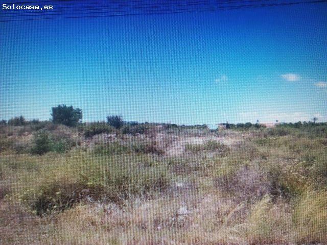 Local Comercial en venta en Mutxamel, Urbanització El Boter