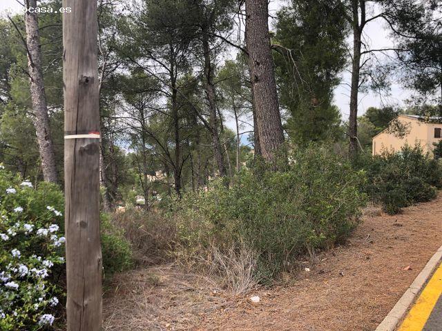 Local Comercial en venta en Castellví De Rosanes, el Taió