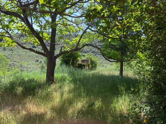 Terreno en venta en Uncastillo, Zaragoza