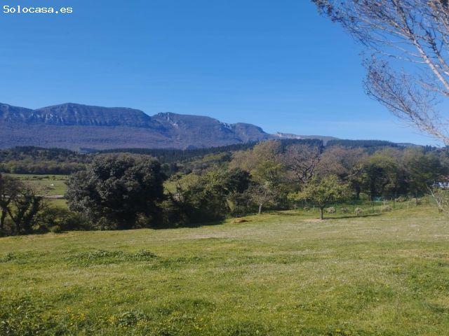 Local Comercial en venta en Villasana de Mena, Valle De Mena