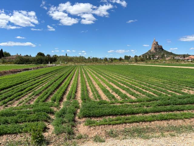 Terreno en venta en Monteagudo, Área Metropolitana de Murcia