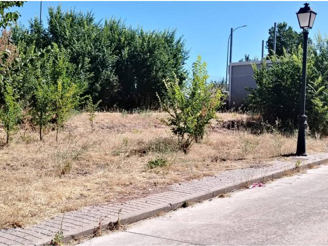 Terreno en venta en Torrelaguna, Madrid