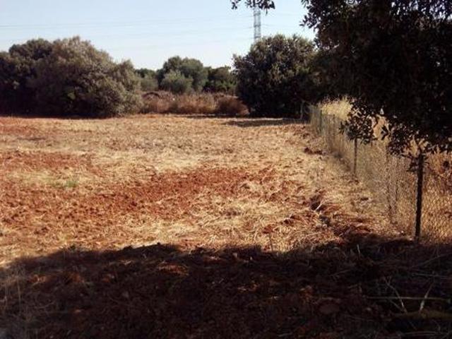 Terreno en venta en Bollullos De La Mitación