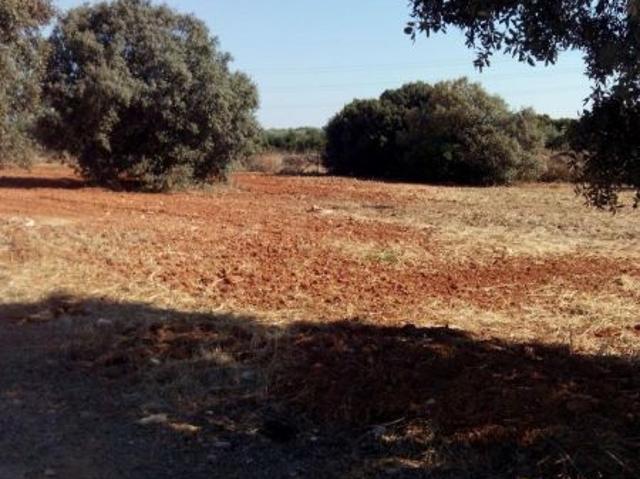 Terreno en venta en Bollullos De La Mitación, Andalucía