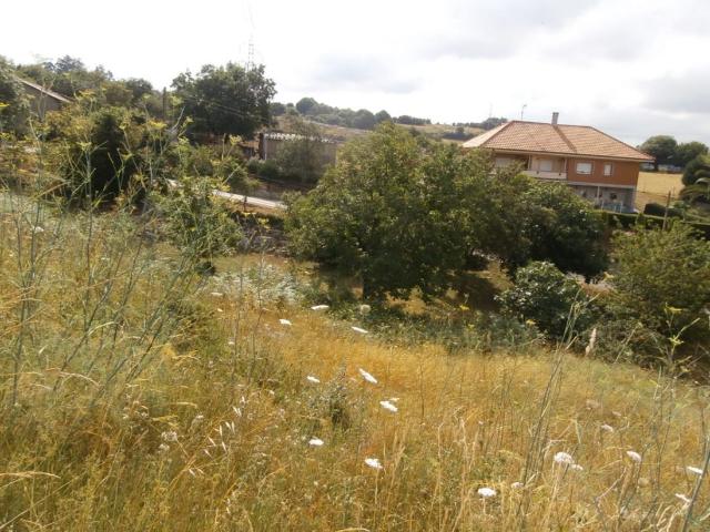 Terreno en venta en Oviedo, Asturias