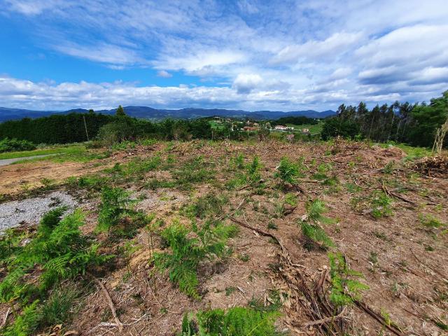 Terreno en venta en Oviedo, Asturias