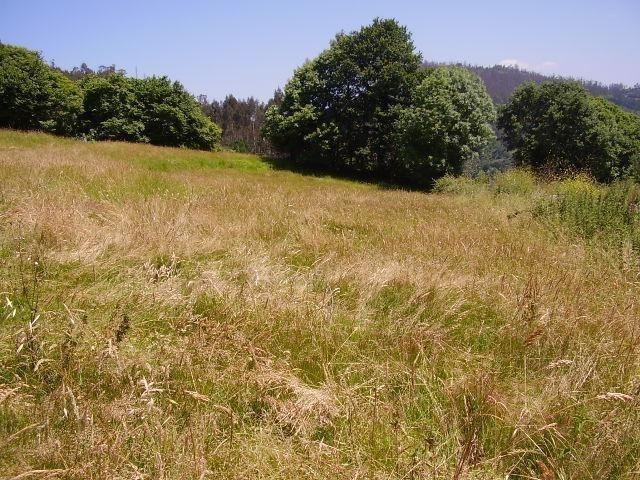 Terreno en venta en Grado, Asturias