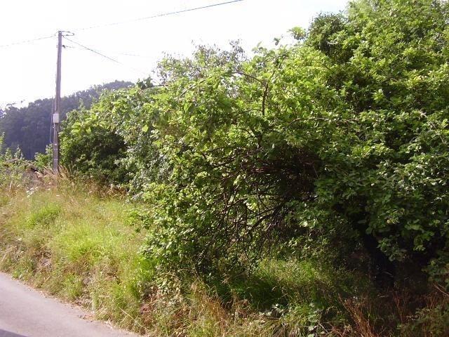 Terreno en venta en Aces, Candamo