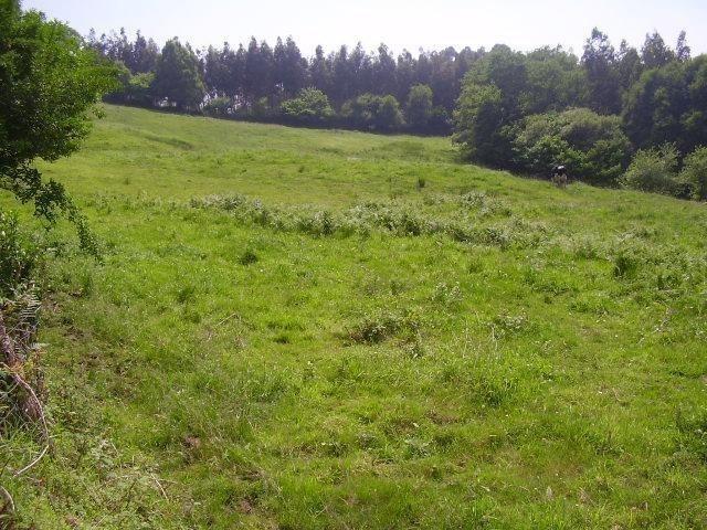 Terreno en venta en Grado, Asturias