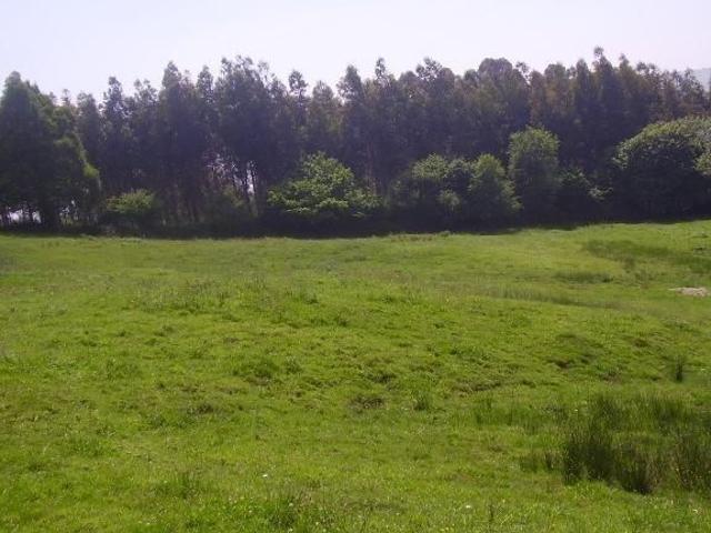 Terreno en venta en Avilés, La Roñada