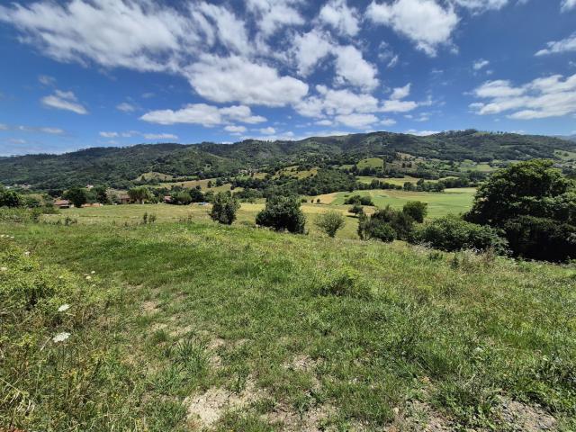 Terreno en venta en La Borbolla, Grado