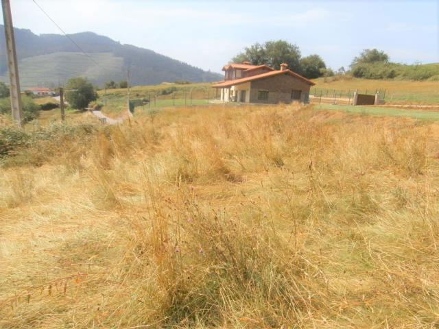 Terreno en venta en La Borbolla, Grado
