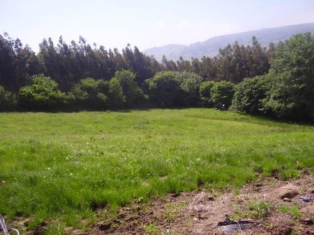 Terreno en venta en Grado, Asturias