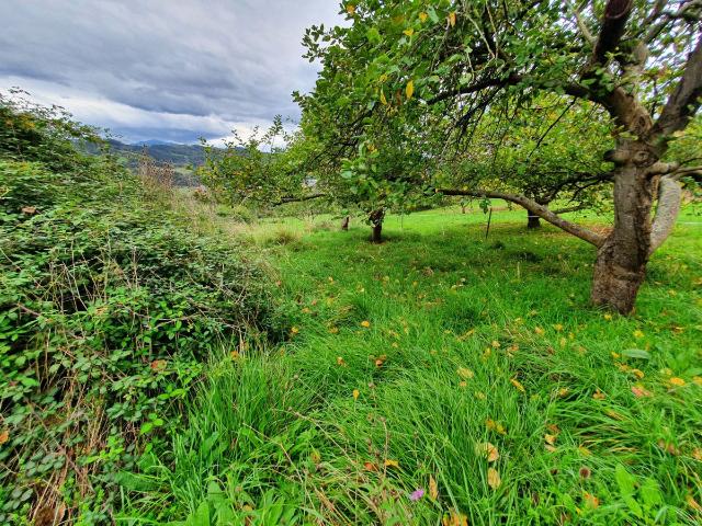 Terreno en venta en Candamo, Entelosríos