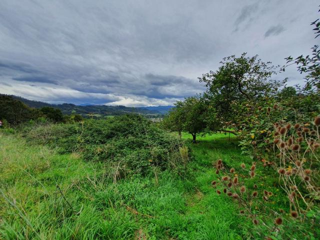 Terreno en venta en Grado, Asturias