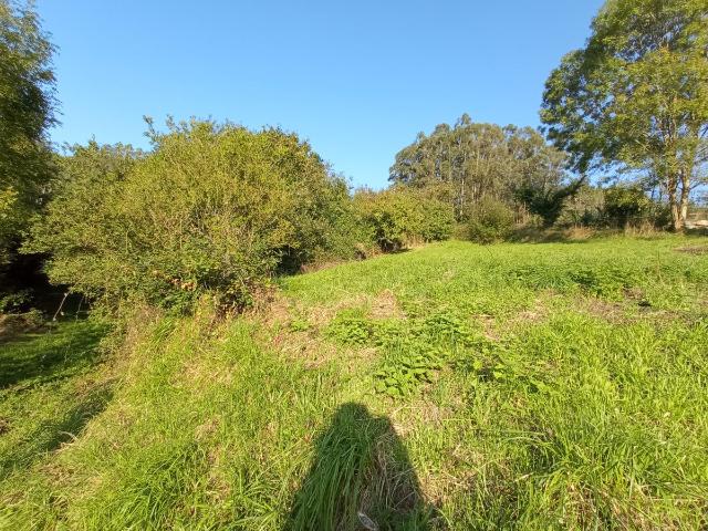 Terreno en venta en Candamo, Sandiche