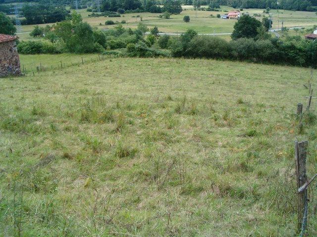 Terreno en venta en Praúa, Pravia