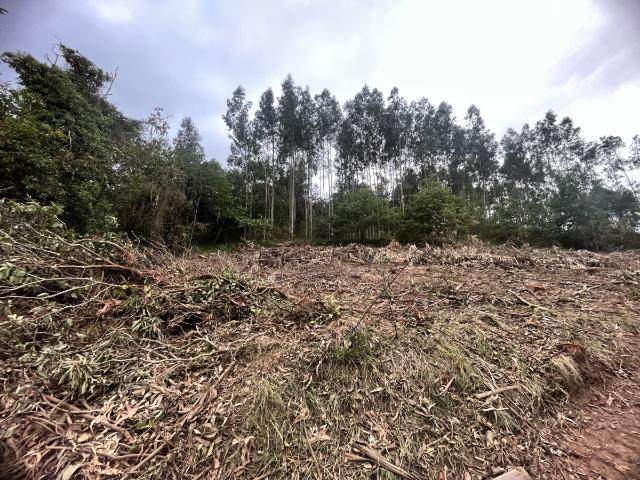 Terreno en venta en Grado, Asturias