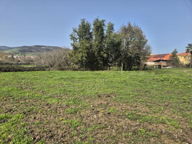 Terreno en venta en Grado, Asturias