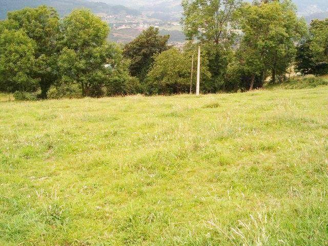 Terreno en venta en Grado, Asturias